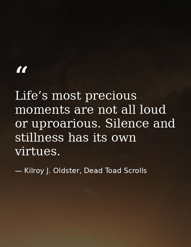 Life’s most precious moments are not all loud or uproarious. Silence and stillness has its own virtues. — Kilroy J. Oldster, Dead Toad Scrolls