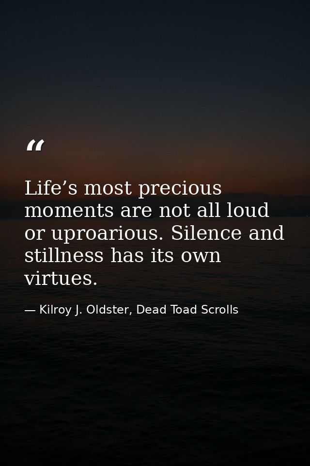 Life’s most precious moments are not all loud or uproarious. Silence and stillness has its own virtues. — Kilroy J. Oldster, Dead Toad Scrolls
