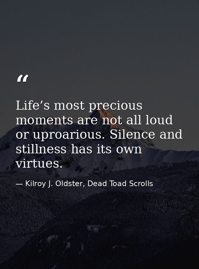 Life’s most precious moments are not all loud or uproarious. Silence and stillness has its own virtues. — Kilroy J. Oldster, Dead Toad Scrolls