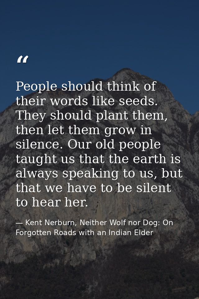 People should think of their words like seeds. They should plant them, then let them grow in silence. Our old people tau — Kent Nerburn, Neither Wolf nor Dog: On Forgotten Roads with an Indian Elder