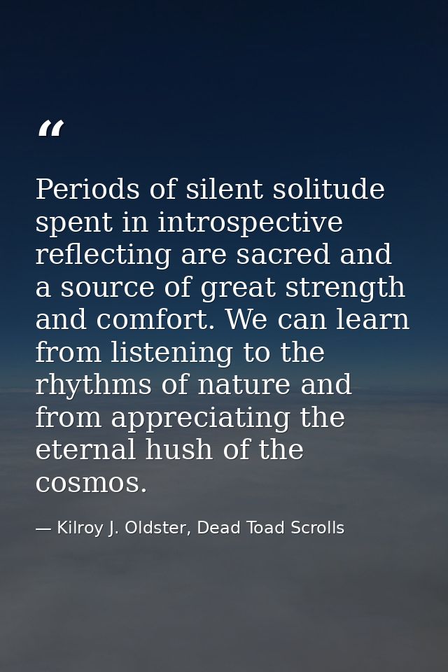 Periods of silent solitude spent in introspective reflecting are sacred and a source of great strength and comfort. We c — Kilroy J. Oldster, Dead Toad Scrolls
