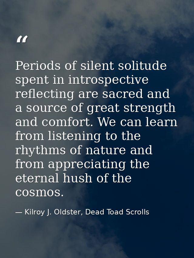 Periods of silent solitude spent in introspective reflecting are sacred and a source of great strength and comfort. We c — Kilroy J. Oldster, Dead Toad Scrolls