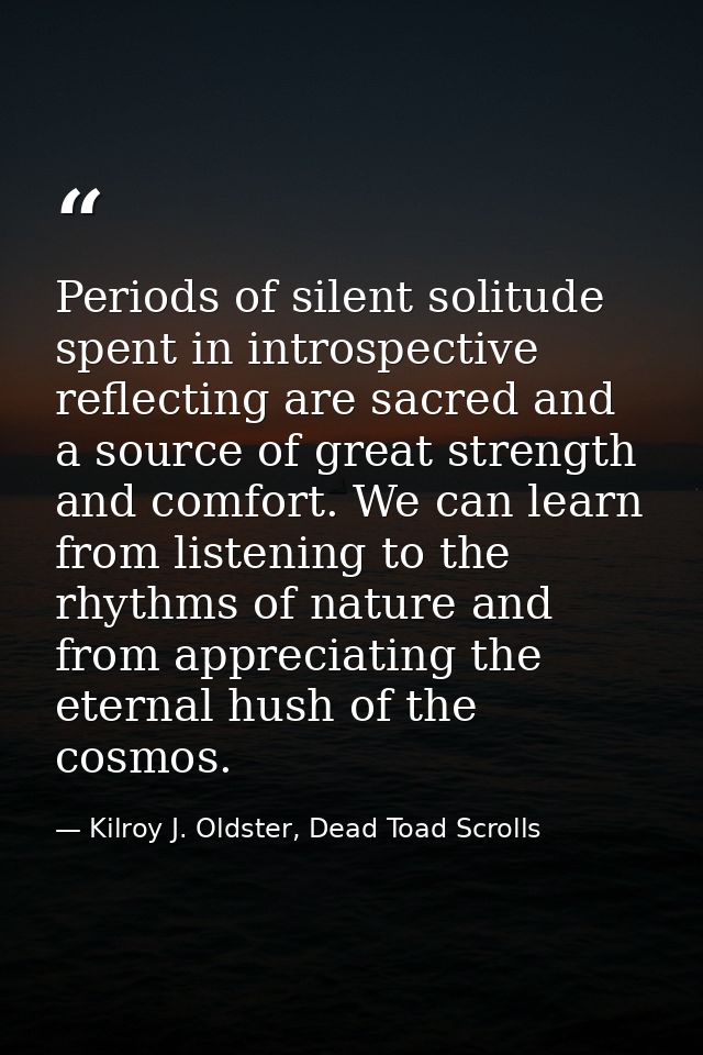 Periods of silent solitude spent in introspective reflecting are sacred and a source of great strength and comfort. We c — Kilroy J. Oldster, Dead Toad Scrolls