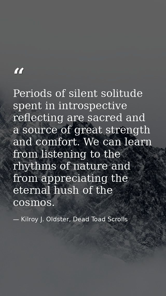 Periods of silent solitude spent in introspective reflecting are sacred and a source of great strength and comfort. We c — Kilroy J. Oldster, Dead Toad Scrolls