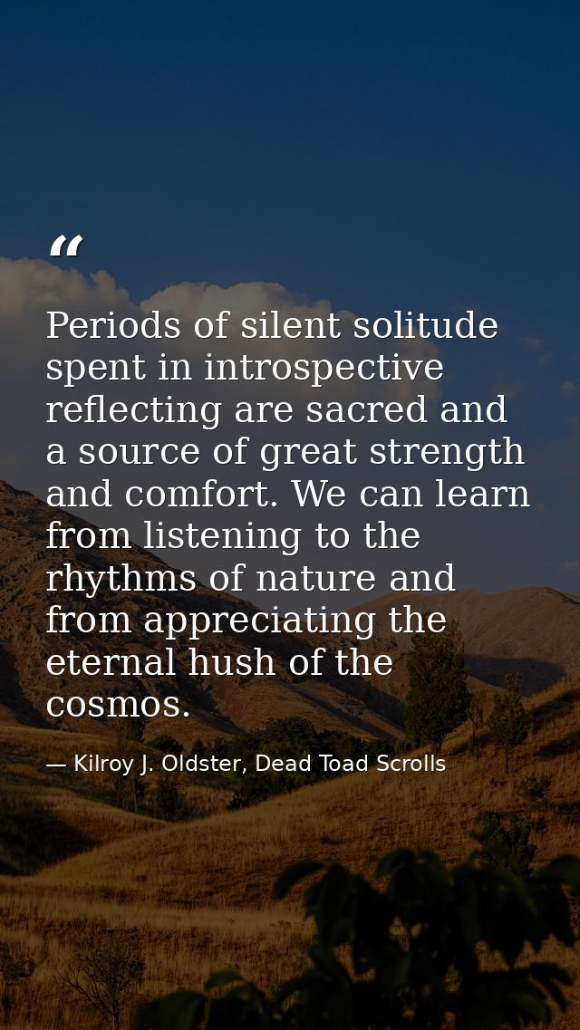 Periods of silent solitude spent in introspective reflecting are sacred and a source of great strength and comfort. We c — Kilroy J. Oldster, Dead Toad Scrolls