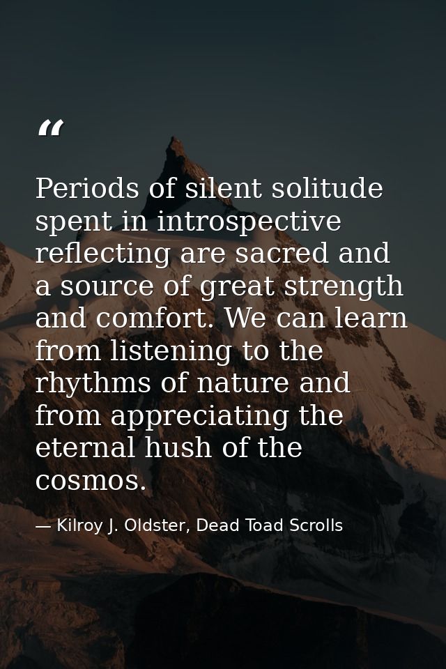 Periods of silent solitude spent in introspective reflecting are sacred and a source of great strength and comfort. We c — Kilroy J. Oldster, Dead Toad Scrolls
