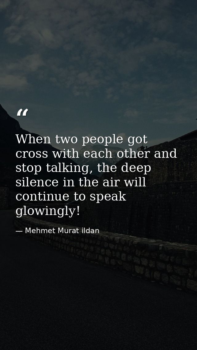 When two people got cross with each other and stop talking, the deep silence in the air will continue to speak glowingly — Mehmet Murat ildan