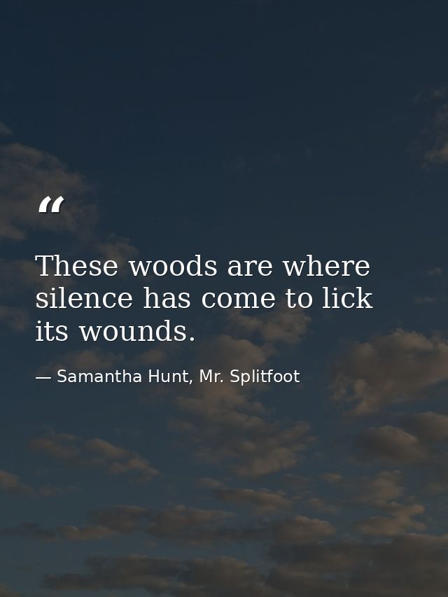 These woods are where silence has come to lick its wounds. — Samantha Hunt, Mr. Splitfoot