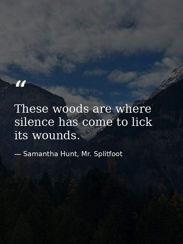 These woods are where silence has come to lick its wounds. — Samantha Hunt, Mr. Splitfoot