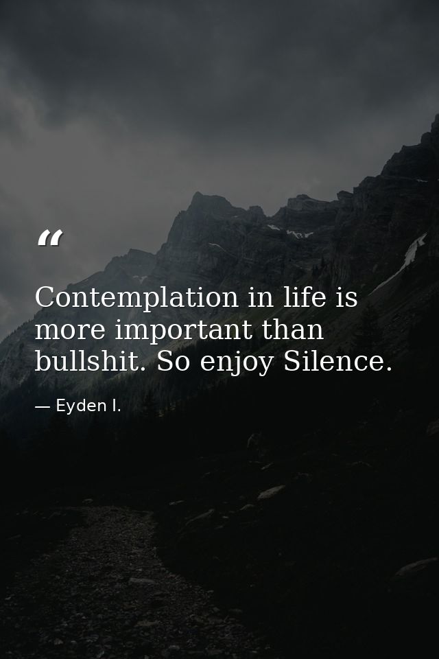 Contemplation in life is more important than bullshit. So enjoy Silence. — Eyden I.