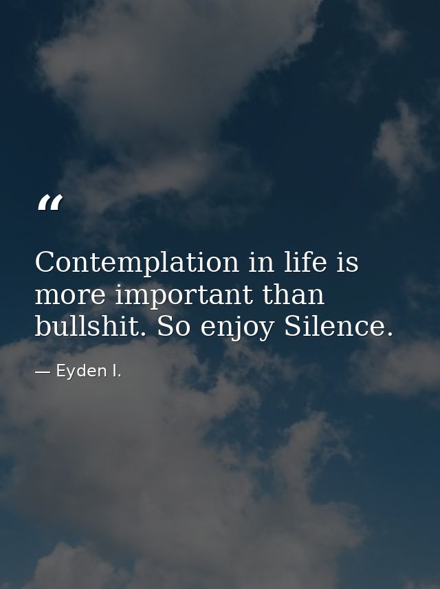 Contemplation in life is more important than bullshit. So enjoy Silence. — Eyden I.