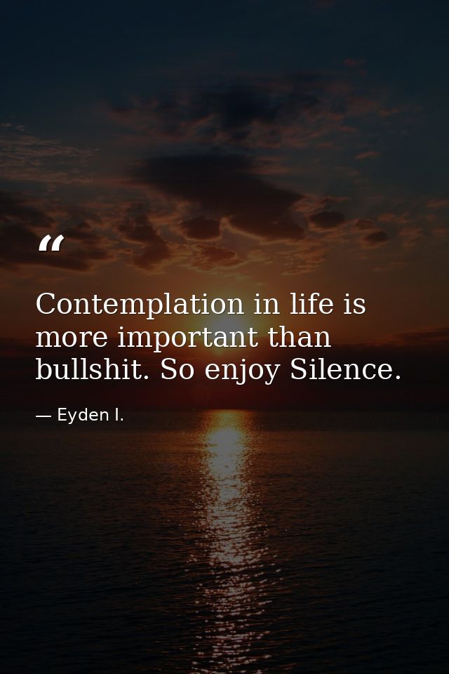 Contemplation in life is more important than bullshit. So enjoy Silence. — Eyden I.