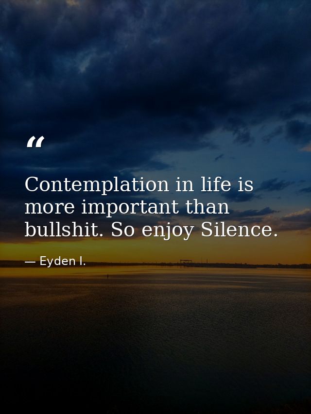 Contemplation in life is more important than bullshit. So enjoy Silence. — Eyden I.