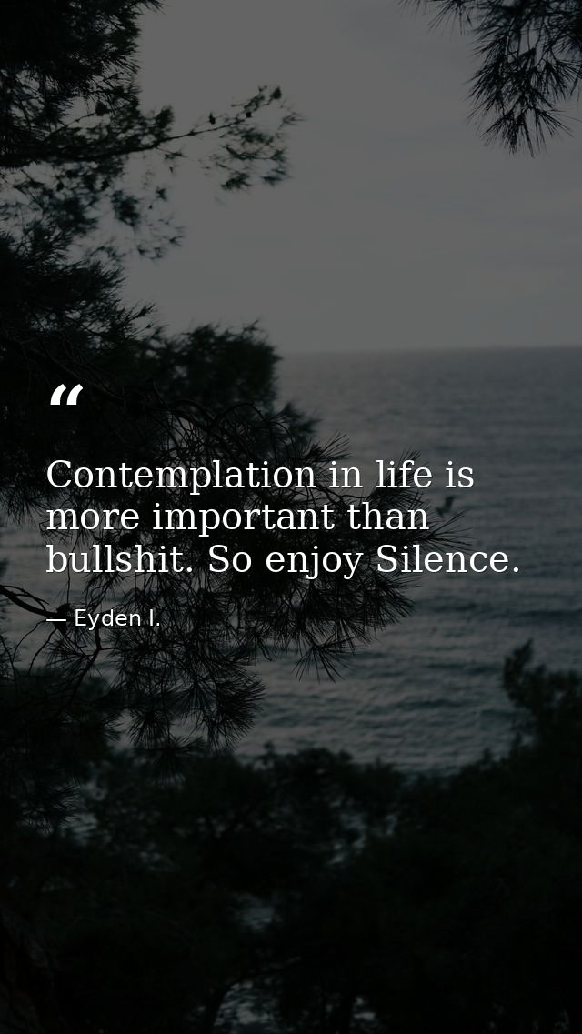 Contemplation in life is more important than bullshit. So enjoy Silence. — Eyden I.