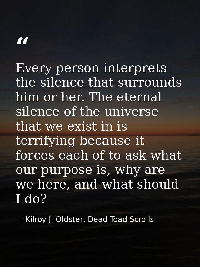 Every person interprets the silence that surrounds him or her. The eternal silence of the universe that we exist in is t — Kilroy J. Oldster, Dead Toad Scrolls
