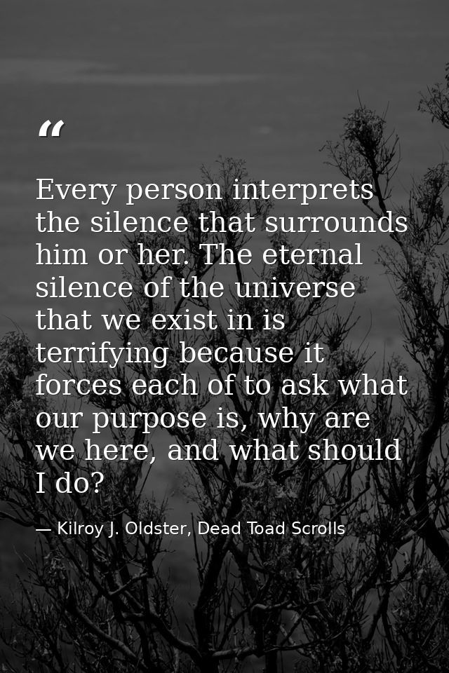 Every person interprets the silence that surrounds him or her. The eternal silence of the universe that we exist in is t — Kilroy J. Oldster, Dead Toad Scrolls