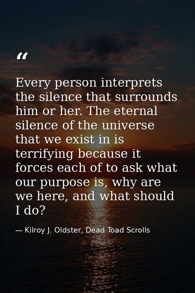 Every person interprets the silence that surrounds him or her. The eternal silence of the universe that we exist in is t — Kilroy J. Oldster, Dead Toad Scrolls