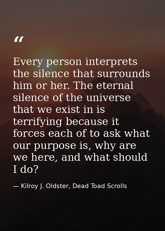 Every person interprets the silence that surrounds him or her. The eternal silence of the universe that we exist in is t — Kilroy J. Oldster, Dead Toad Scrolls