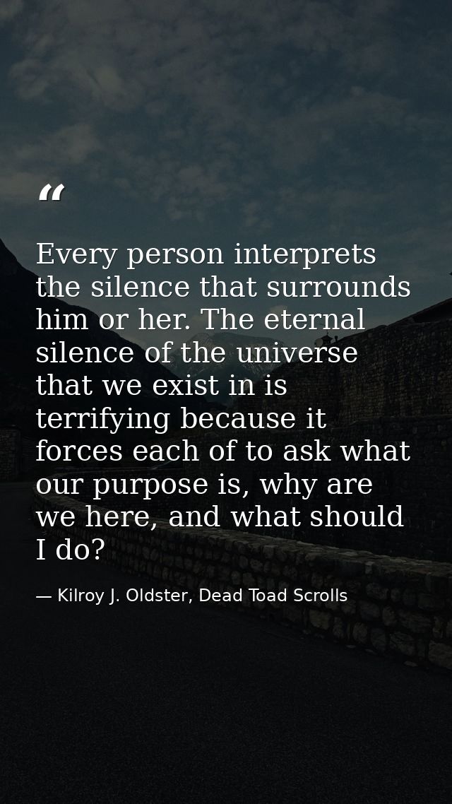 Every person interprets the silence that surrounds him or her. The eternal silence of the universe that we exist in is t — Kilroy J. Oldster, Dead Toad Scrolls