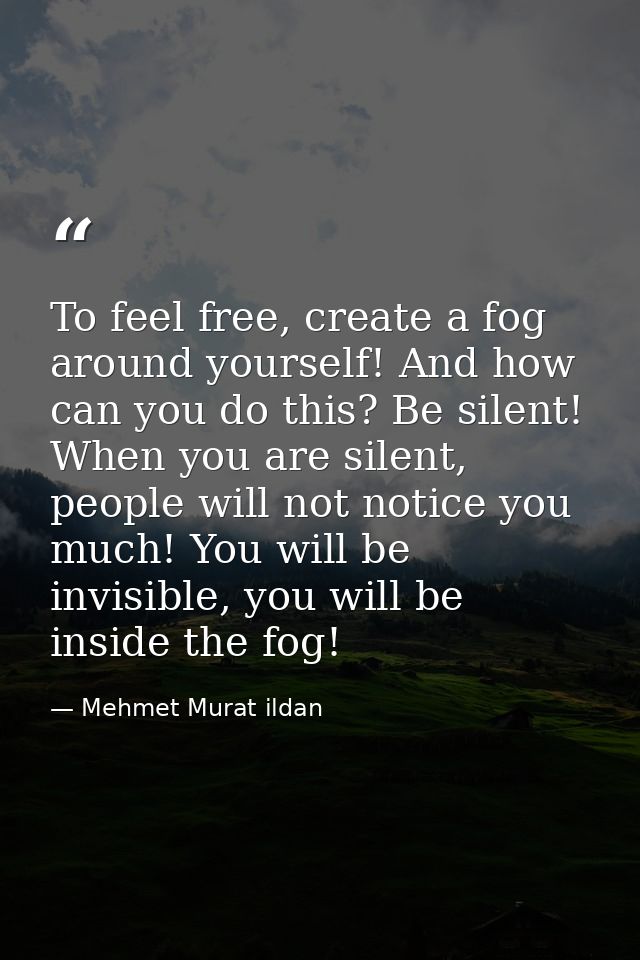To feel free, create a fog around yourself! And how can you do this? Be silent! When you are silent, people will not not — Mehmet Murat ildan