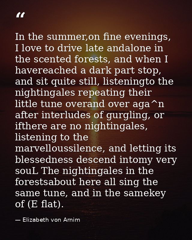 In the summer,on fine evenings, I love to drive late andalone in the scented forests, and when I havereached a dark part — Elizabeth von Arnim