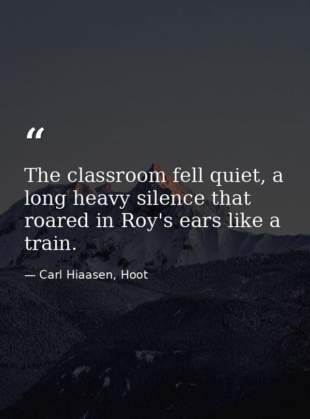 The classroom fell quiet, a long heavy silence that roared in Roy's ears like a train. — Carl Hiaasen, Hoot