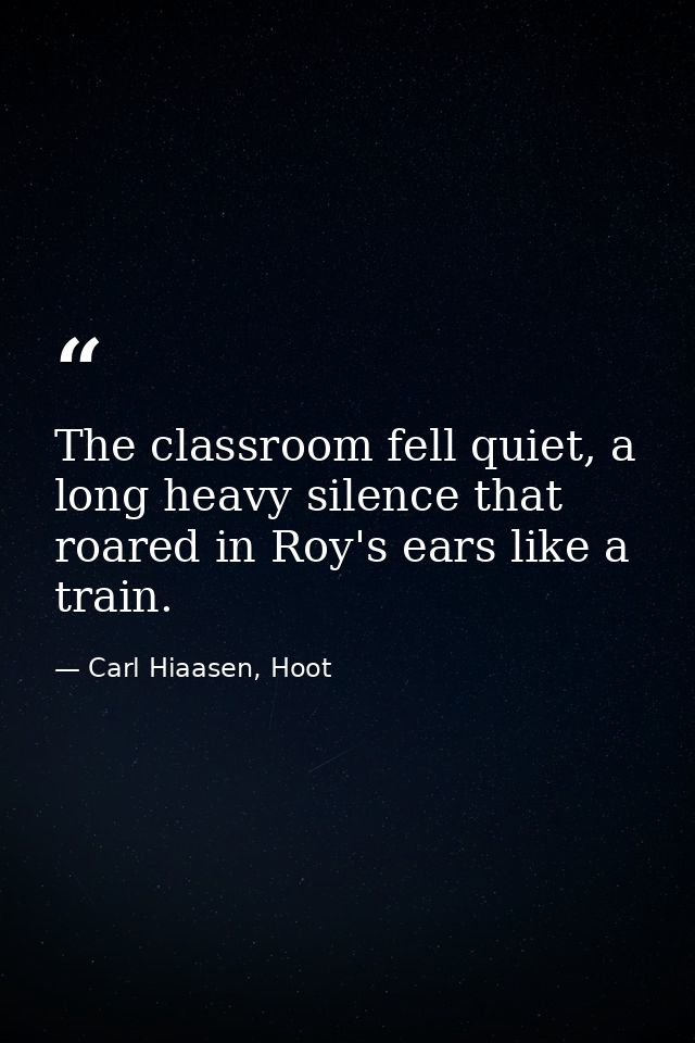 The classroom fell quiet, a long heavy silence that roared in Roy's ears like a train. — Carl Hiaasen, Hoot