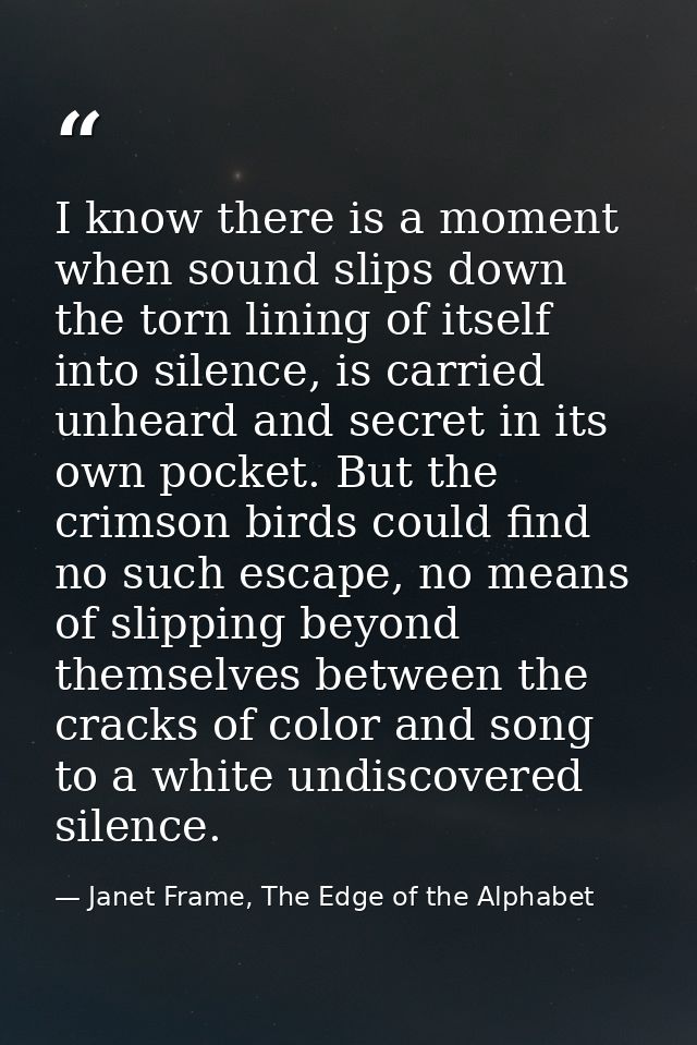 I know there is a moment when sound slips down the torn lining of itself into silence, is carried unheard and secret in  — Janet Frame, The Edge of the Alphabet
