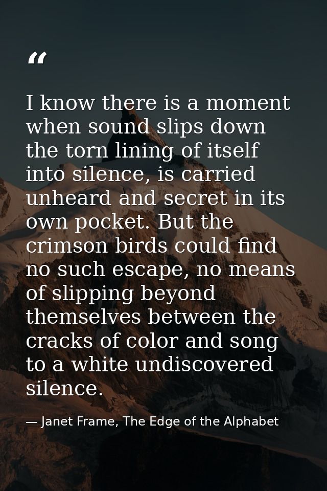 I know there is a moment when sound slips down the torn lining of itself into silence, is carried unheard and secret in  — Janet Frame, The Edge of the Alphabet