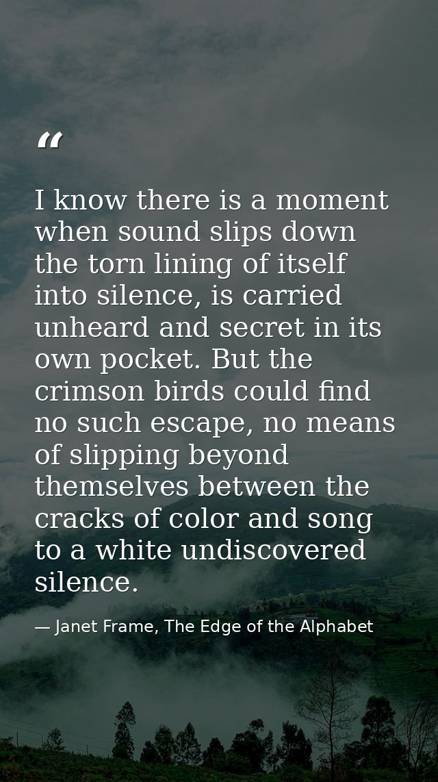 I know there is a moment when sound slips down the torn lining of itself into silence, is carried unheard and secret in  — Janet Frame, The Edge of the Alphabet