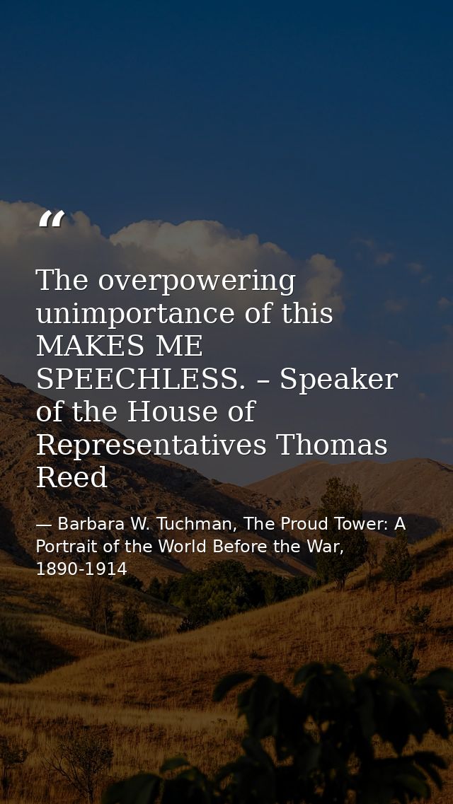 The overpowering unimportance of this MAKES ME SPEECHLESS. – Speaker of the House of Representatives Thomas Reed — Barbara W. Tuchman, The Proud Tower: A Portrait of the World Before the War, 1890-1914