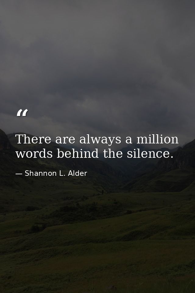There are always a million words behind the silence. — Shannon L. Alder