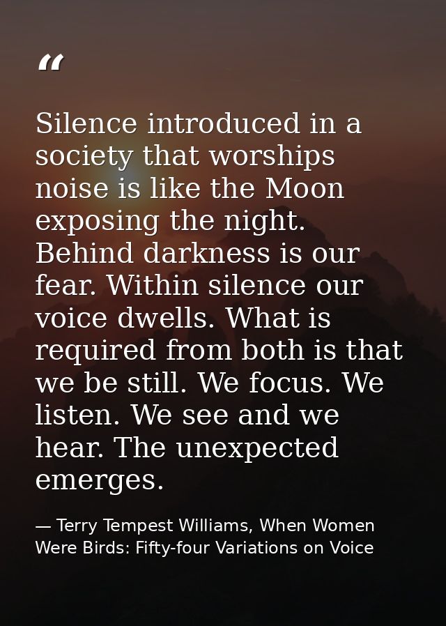 Silence introduced in a society that worships noise is like the Moon exposing the night. Behind darkness is our fear. Wi — Terry Tempest Williams, When Women Were Birds: Fifty-four Variations on Voice