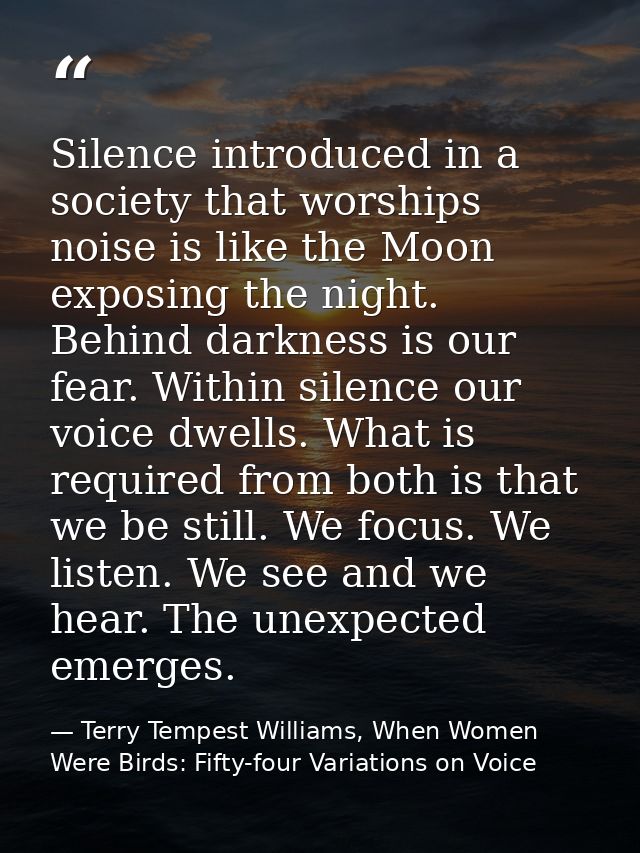 Silence introduced in a society that worships noise is like the Moon exposing the night. Behind darkness is our fear. Wi — Terry Tempest Williams, When Women Were Birds: Fifty-four Variations on Voice