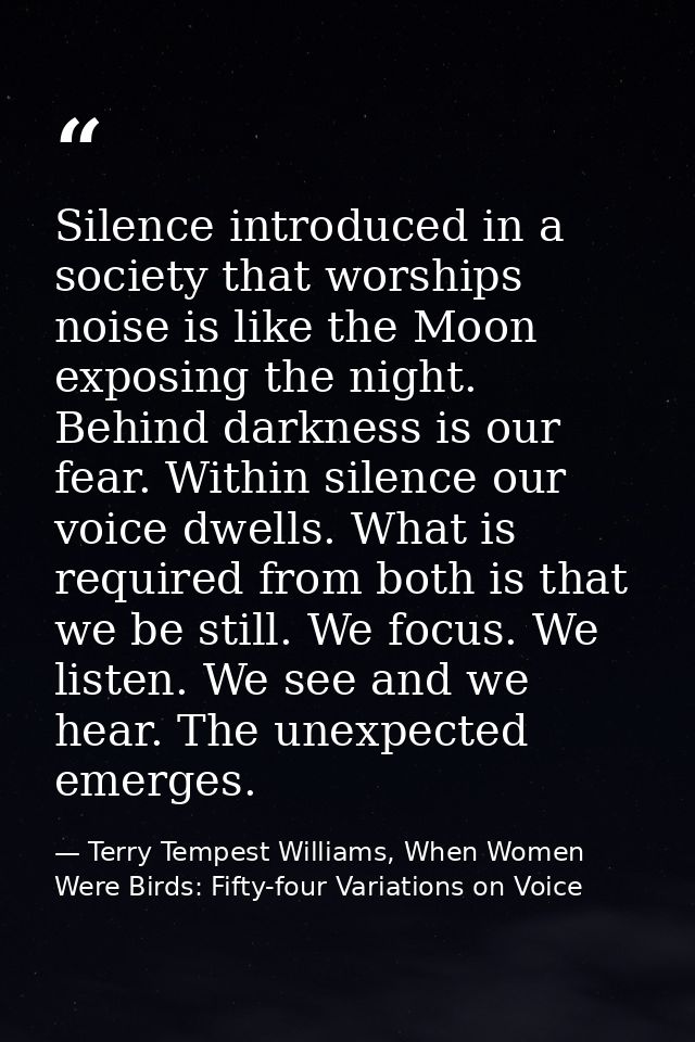 Silence introduced in a society that worships noise is like the Moon exposing the night. Behind darkness is our fear. Wi — Terry Tempest Williams, When Women Were Birds: Fifty-four Variations on Voice