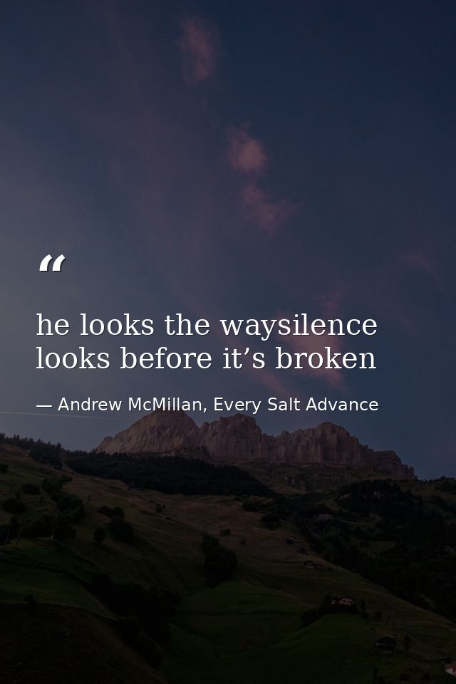 he looks the waysilence looks before it’s broken — Andrew McMillan, Every Salt Advance