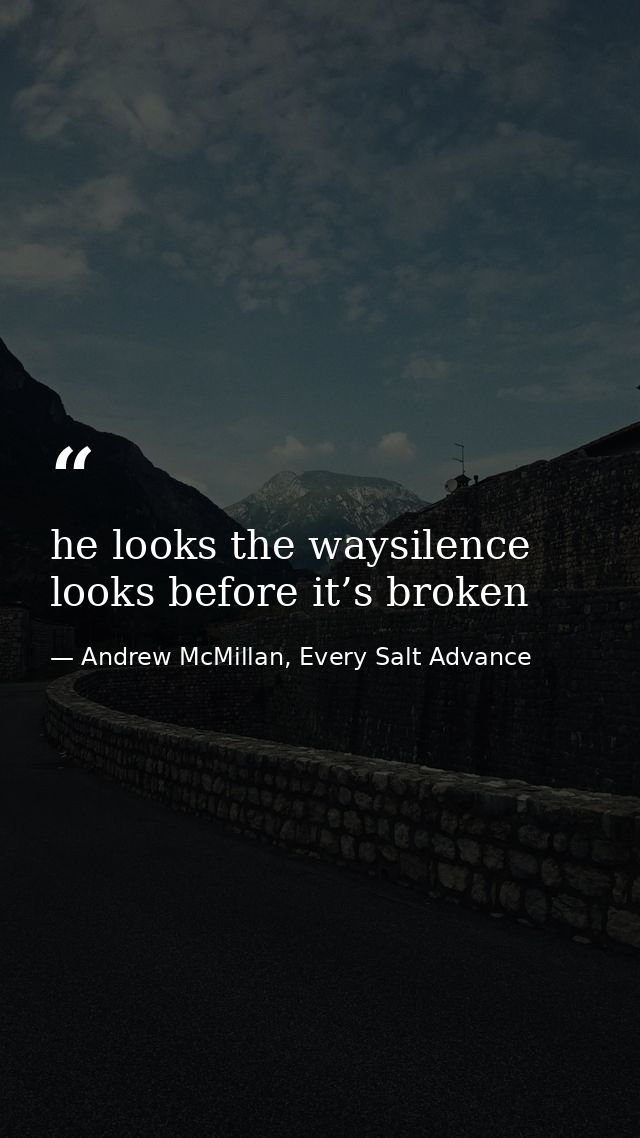 he looks the waysilence looks before it’s broken — Andrew McMillan, Every Salt Advance