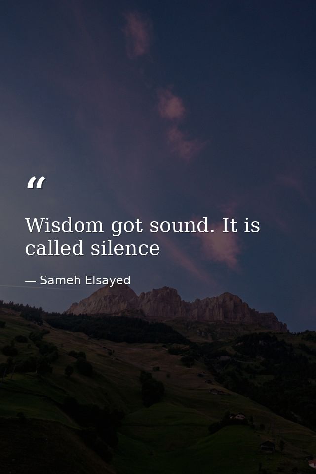 Wisdom got sound. It is called silence — Sameh Elsayed