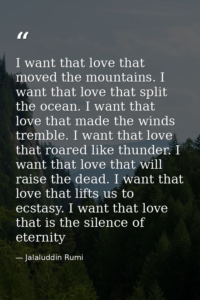 I want that love that moved the mountains. I want that love that split the ocean. I want that love that made the winds t — Jalaluddin Rumi