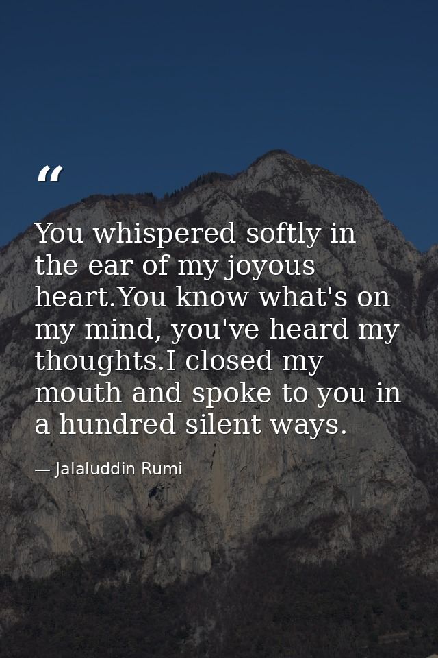 You whispered softly in the ear of my joyous heart.You know what's on my mind, you've heard my thoughts.I closed my mout — Jalaluddin Rumi