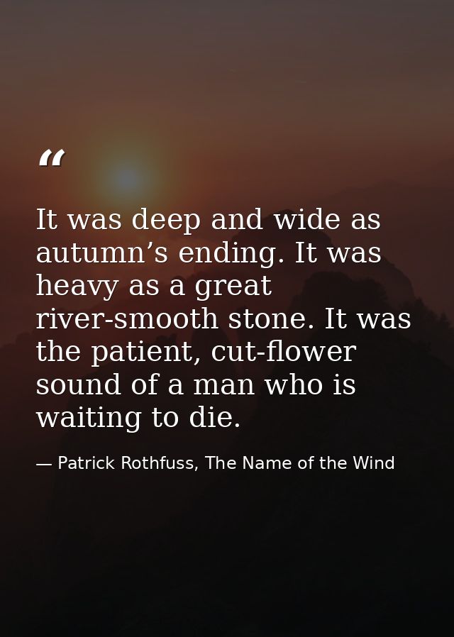 It was deep and wide as autumn’s ending. It was heavy as a great river-smooth stone. It was the patient, cut-flower soun — Patrick Rothfuss, The Name of the Wind