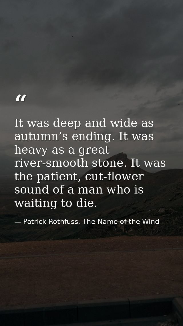 It was deep and wide as autumn’s ending. It was heavy as a great river-smooth stone. It was the patient, cut-flower soun — Patrick Rothfuss, The Name of the Wind