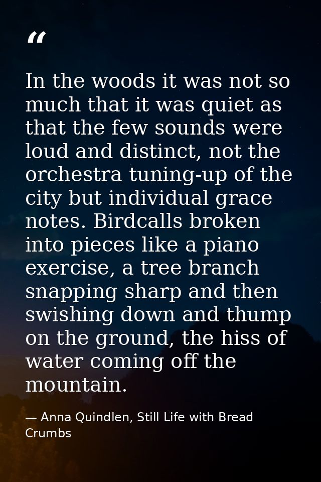 In the woods it was not so much that it was quiet as that the few sounds were loud and distinct, not the orchestra tunin — Anna Quindlen, Still Life with Bread Crumbs