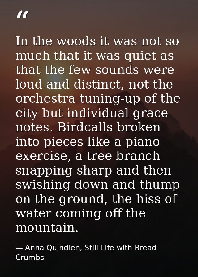 In the woods it was not so much that it was quiet as that the few sounds were loud and distinct, not the orchestra tunin — Anna Quindlen, Still Life with Bread Crumbs