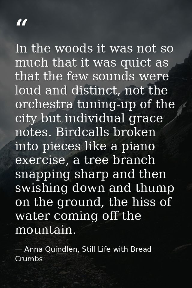 In the woods it was not so much that it was quiet as that the few sounds were loud and distinct, not the orchestra tunin — Anna Quindlen, Still Life with Bread Crumbs