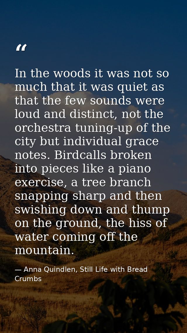 In the woods it was not so much that it was quiet as that the few sounds were loud and distinct, not the orchestra tunin — Anna Quindlen, Still Life with Bread Crumbs