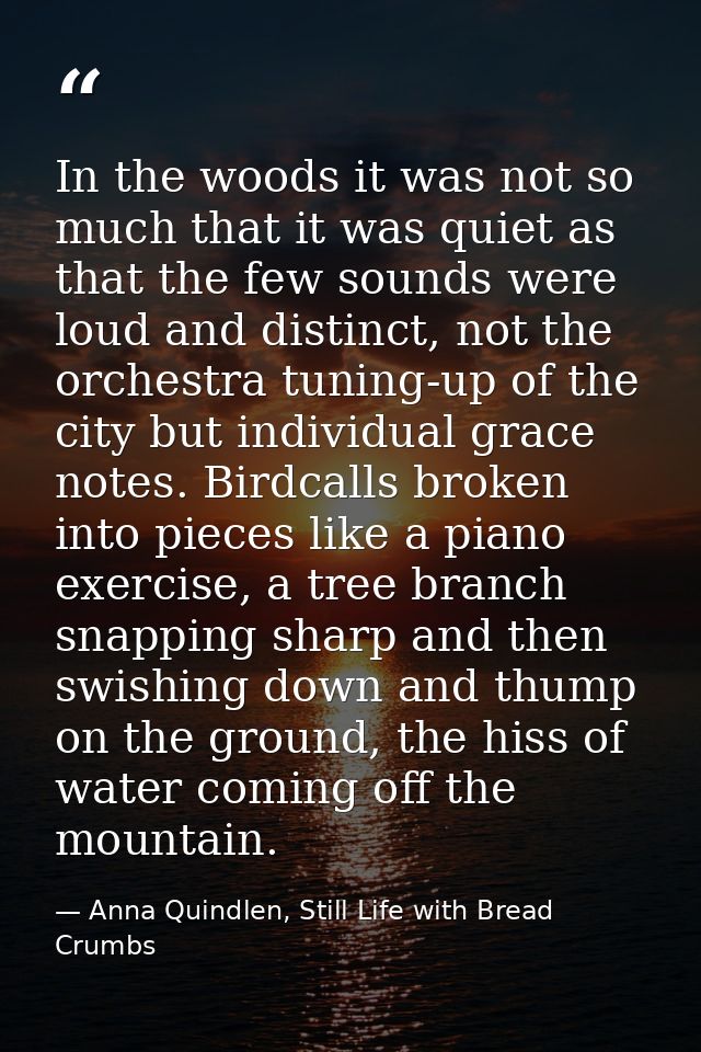 In the woods it was not so much that it was quiet as that the few sounds were loud and distinct, not the orchestra tunin — Anna Quindlen, Still Life with Bread Crumbs