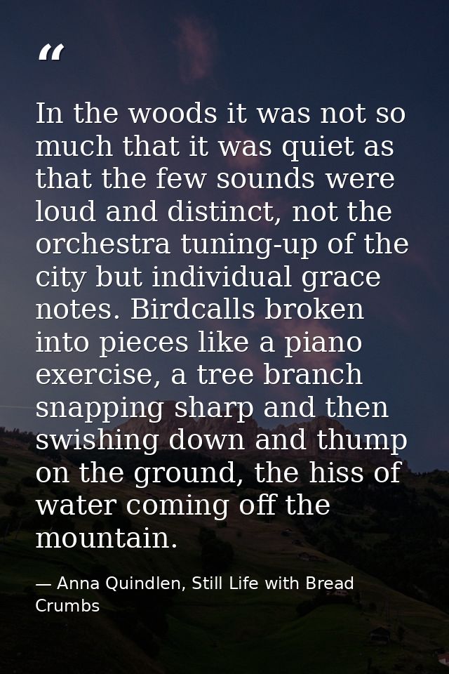 In the woods it was not so much that it was quiet as that the few sounds were loud and distinct, not the orchestra tunin — Anna Quindlen, Still Life with Bread Crumbs