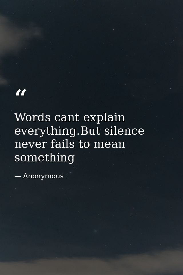 Words cant explain everything.But silence never fails to mean something — Anonymous