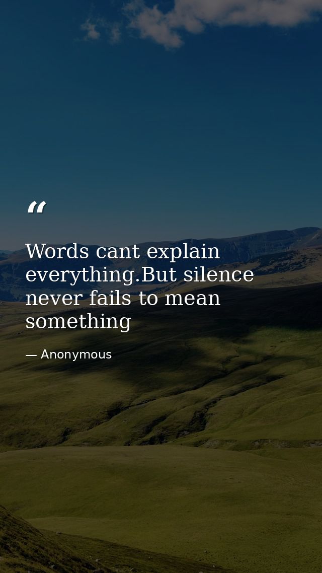 Words cant explain everything.But silence never fails to mean something — Anonymous